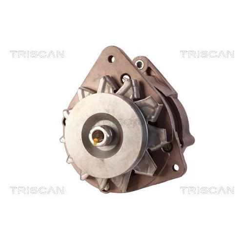 Alternátor 8310 10010 /TRISCAN/ - obr. 5
