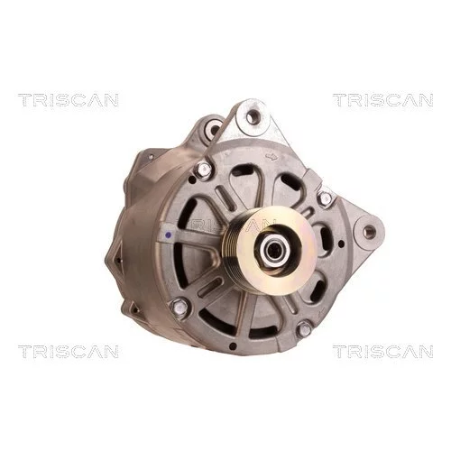 Alternátor 8310 10050 /TRISCAN/ - obr. 4