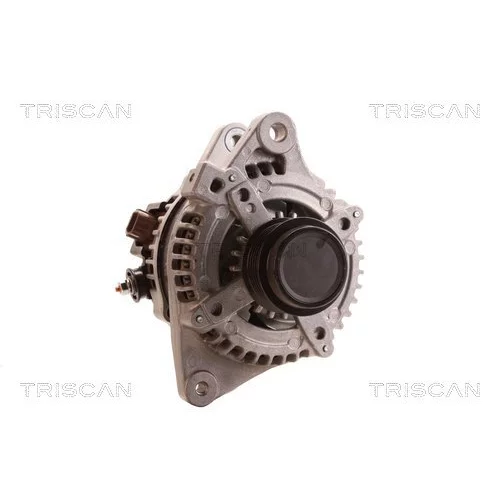 Alternátor 8310 10070 /TRISCAN/ - obr. 4