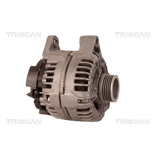 Alternátor 8310 10145 /TRISCAN/ - obr. 3