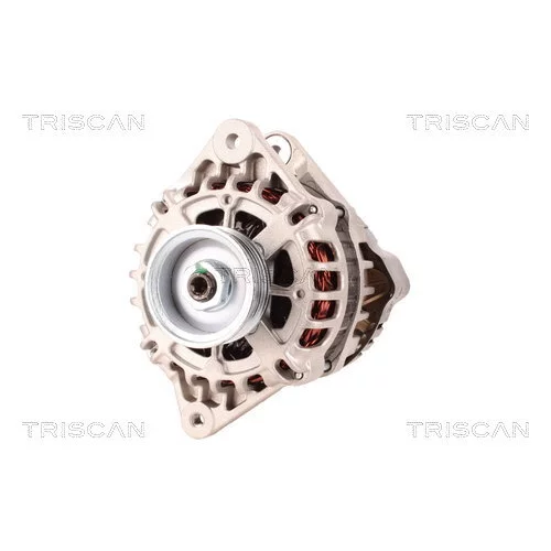 Alternátor 8310 10146 /TRISCAN/ - obr. 5
