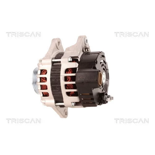 Alternátor 8310 10146 /TRISCAN/ - obr. 7
