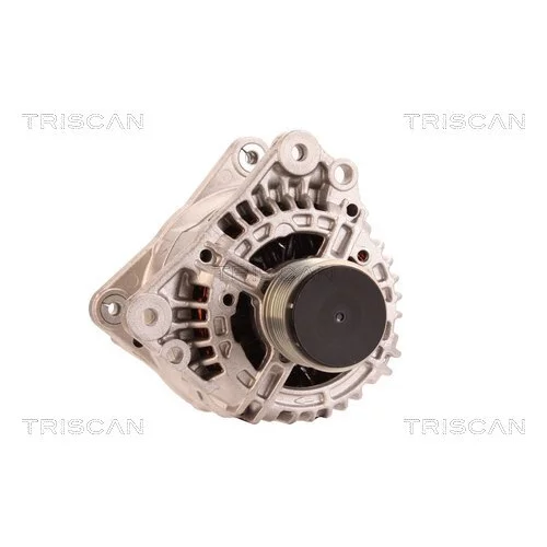 Alternátor 8310 10152 /TRISCAN/ - obr. 4