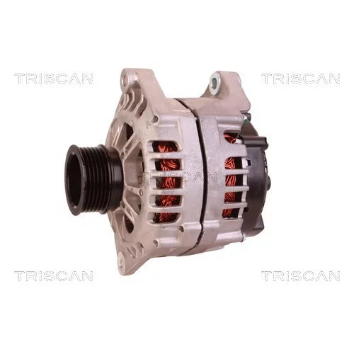 Alternátor 8310 11015 /TRISCAN/ - obr. 6