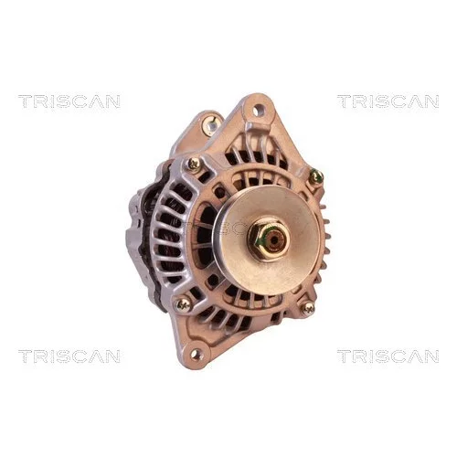 Alternátor 8310 11032 /TRISCAN/ - obr. 4