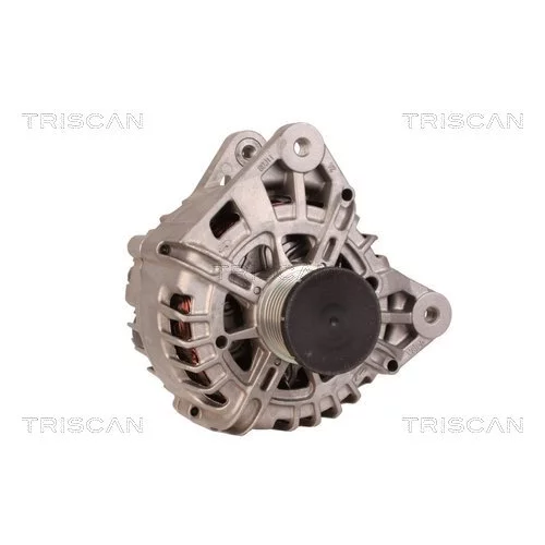 Alternátor 8310 11038 /TRISCAN/ - obr. 4