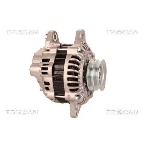 Alternátor 8310 13050 /TRISCAN/ - obr. 3