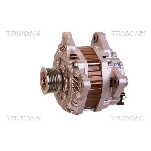 Alternátor 8310 13050 /TRISCAN/ - obr. 6