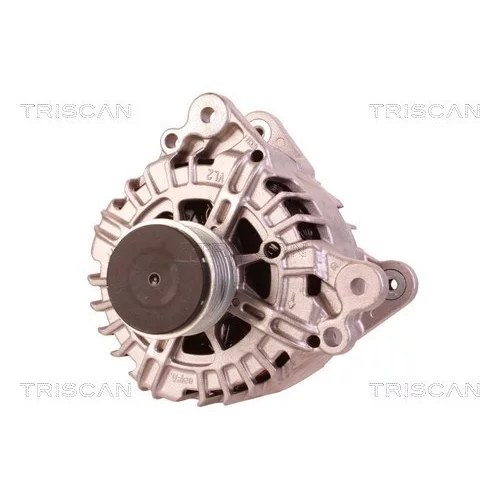 Alternátor 8310 13062 /TRISCAN/ - obr. 5