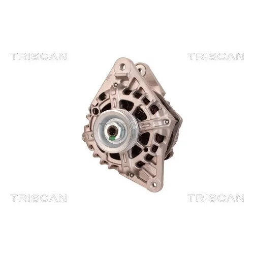 Alternátor 8310 16002 /TRISCAN/ - obr. 5