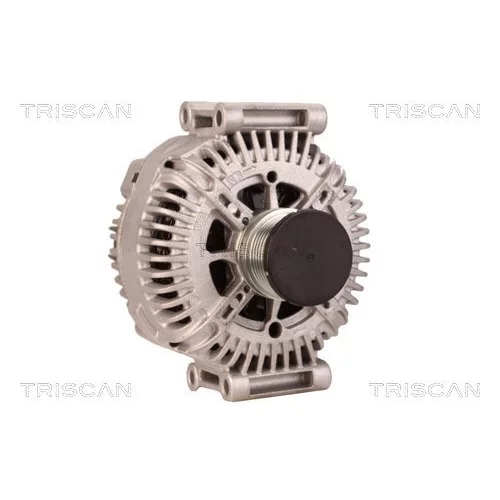 Alternátor 8310 16019 /TRISCAN/ - obr. 4
