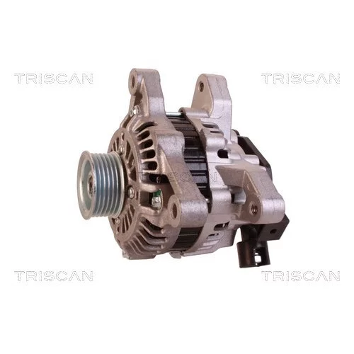 Alternátor 8310 16020 /TRISCAN/ - obr. 6
