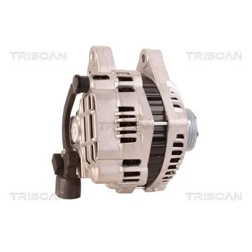 Alternátor 8310 18005 /TRISCAN/ - obr. 2
