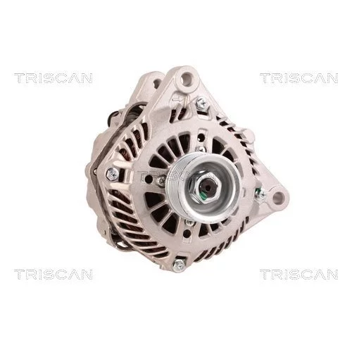 Alternátor 8310 18005 /TRISCAN/ - obr. 4