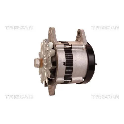 Alternátor 8310 23027 /TRISCAN/ - obr. 6