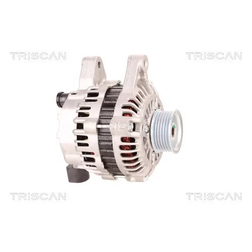 Alternátor 8310 24020 /TRISCAN/ - obr. 3