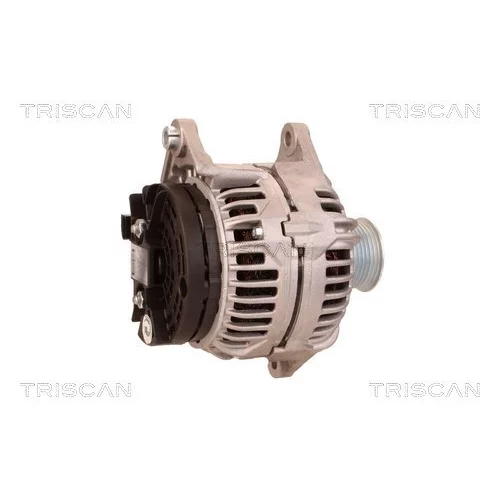 Alternátor 8310 24022 /TRISCAN/ - obr. 2