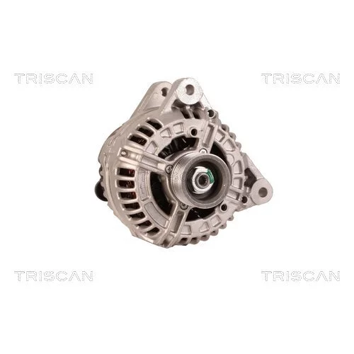 Alternátor 8310 25017 /TRISCAN/ - obr. 4