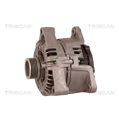 Alternátor 8310 25028 /TRISCAN/ - obr. 6