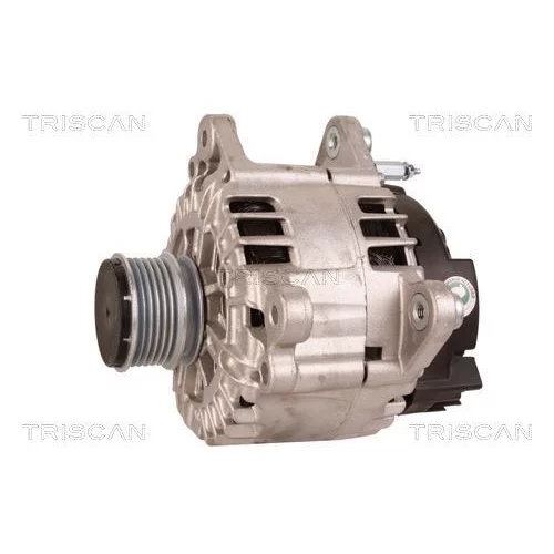 Alternátor 8310 28005 /TRISCAN/ - obr. 6