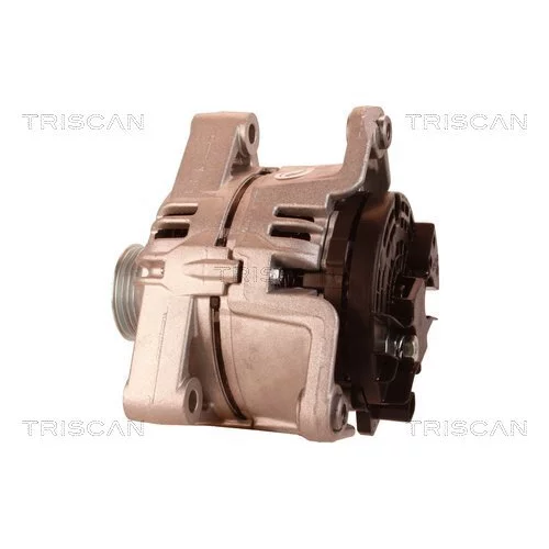 Alternátor 8310 29023 /TRISCAN/ - obr. 7