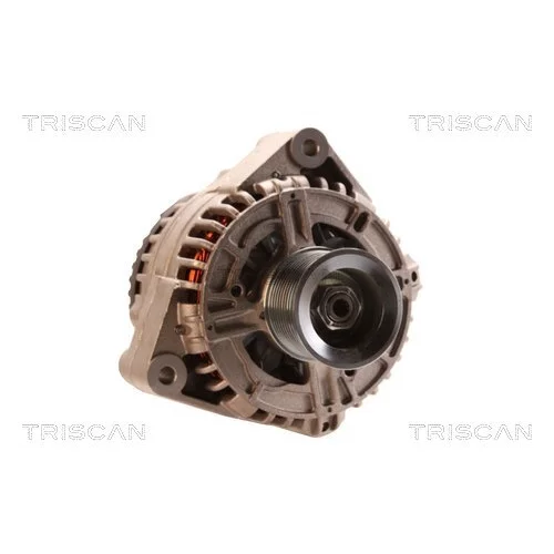 Alternátor 8310 29024 /TRISCAN/ - obr. 4