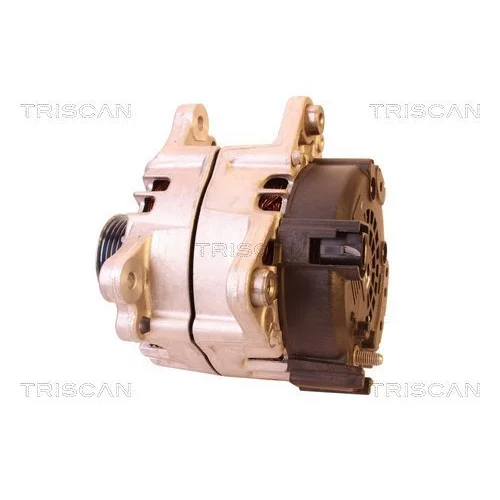 Alternátor 8310 29060 /TRISCAN/ - obr. 7