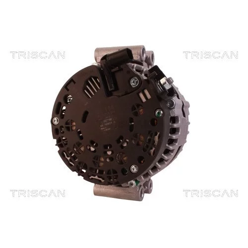 Alternátor 8310 68005 /TRISCAN/ - obr. 1
