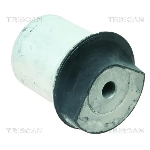 Uloženie tela nápravy TRISCAN 8500 24843