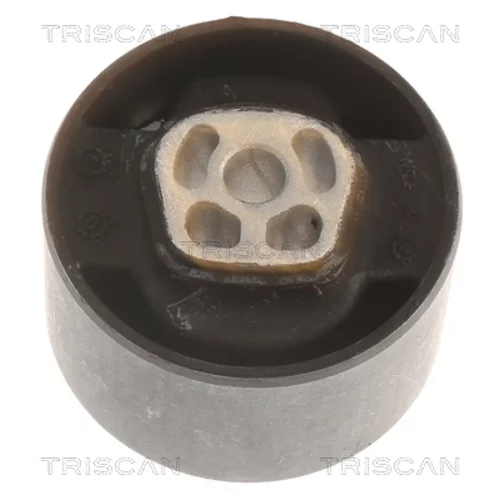 Uloženie motora TRISCAN 8505 10121