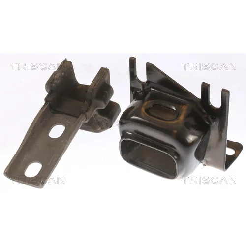 Uloženie motora 8505 25117 /TRISCAN/ - obr. 1