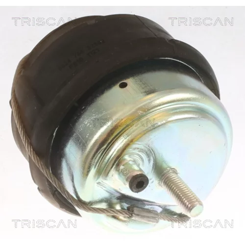 Uloženie motora 8505 27102 /TRISCAN/ - obr. 1