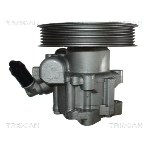Hydraulické čerpadlo pre riadenie 8515 65613 /TRISCAN/ - obr. 1