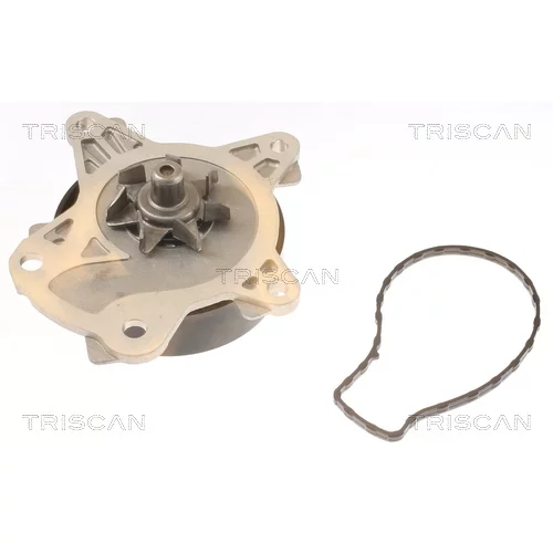 Vodné čerpadlo, chladenie motora 8600 13039 /TRISCAN/ - obr. 1