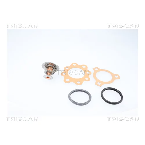 Termostat chladenia TRISCAN 8620 6488