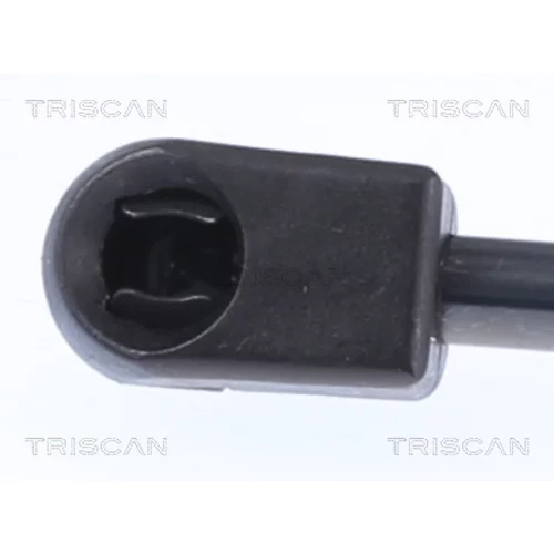 Pneumatická pružina, Batožinový/nákladný priestor 8710 14221 /TRISCAN/ - obr. 1