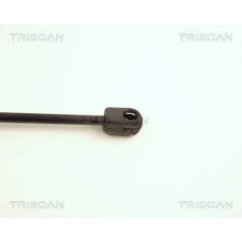 Pneumatická pružina, Batožinový/nákladný priestor 8710 16224 /TRISCAN/ - obr. 2