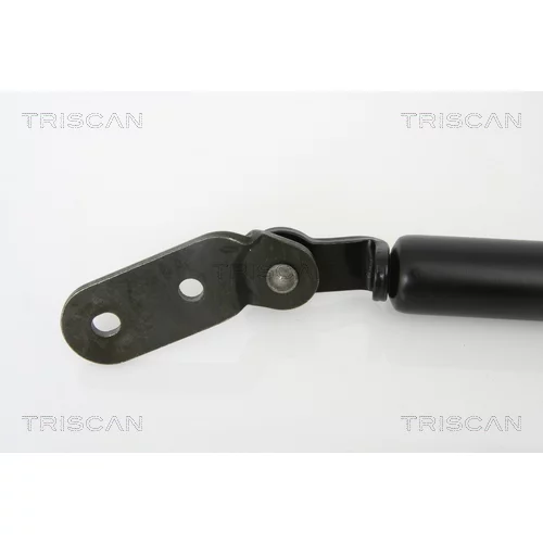 Pneumatická pružina, Batožinový/nákladný priestor 8710 18216 /TRISCAN/ - obr. 1