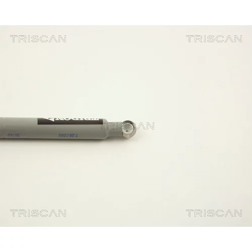 Tyčový tlmič pre vstrekovací systém 8710 2309 /TRISCAN/ - obr. 2