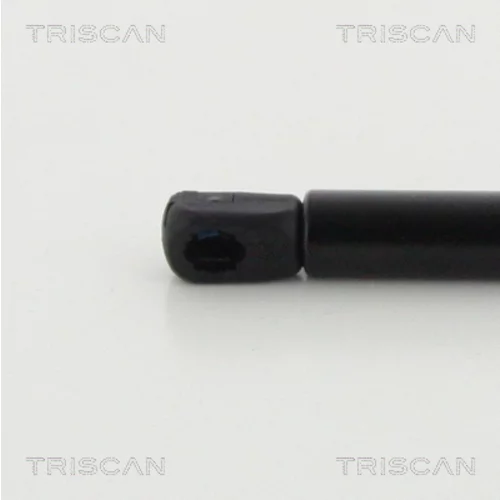 Pneumatická pružina, Batožinový/nákladný priestor 8710 292042 /TRISCAN/ - obr. 2