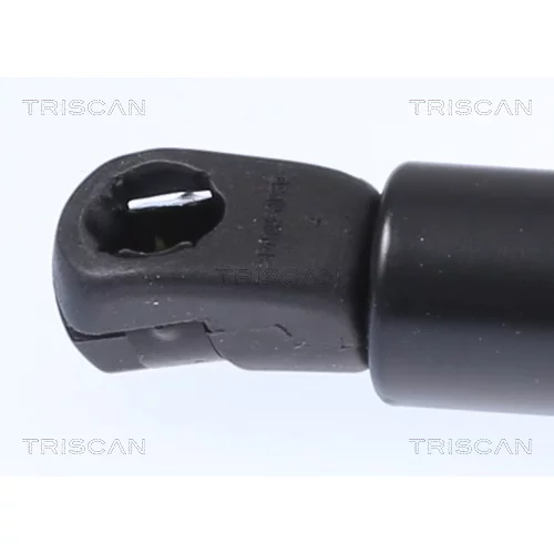 Pneumatická pružina, Batožinový/nákladný priestor 8710 292062 /TRISCAN/ - obr. 1