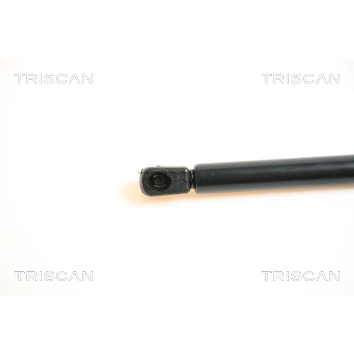 Pneumatická pružina, Batožinový/nákladný priestor 8710 42224 /TRISCAN/ - obr. 1