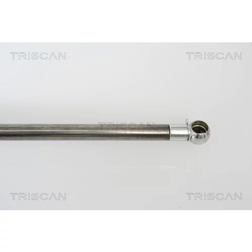 Pneumatická pružina, Batožinový/nákladný priestor 8710 43213 /TRISCAN/ - obr. 2