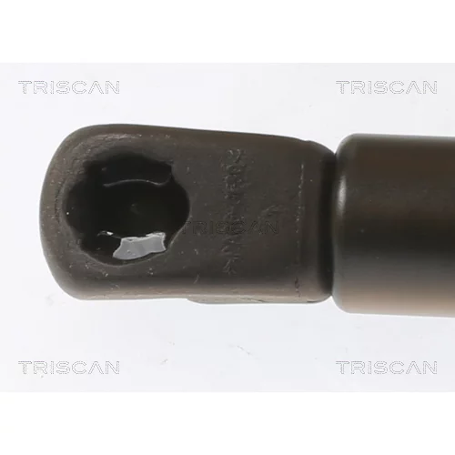 Pneumatická pružina, Batožinový/nákladný priestor 8710 43248 /TRISCAN/ - obr. 1
