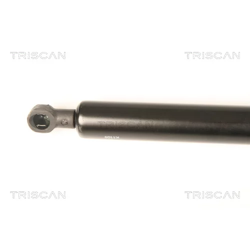 Pneumatická pružina, Batožinový/nákladný priestor 8710 50248 /TRISCAN/ - obr. 1