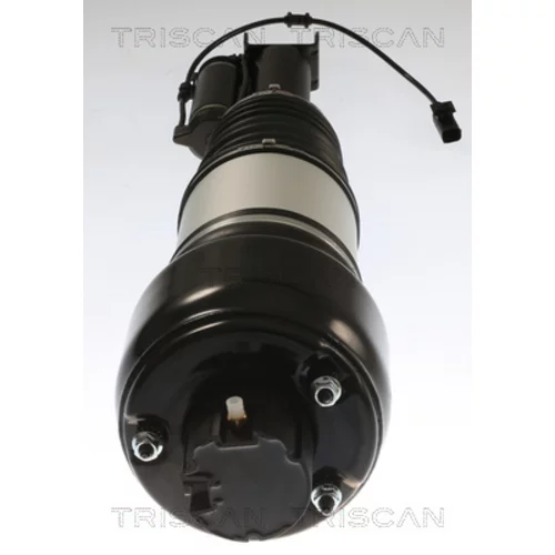 Vzduchový vak 8720 23103 /TRISCAN/ - obr. 2