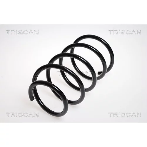 Pružina podvozku TRISCAN 8750 13119