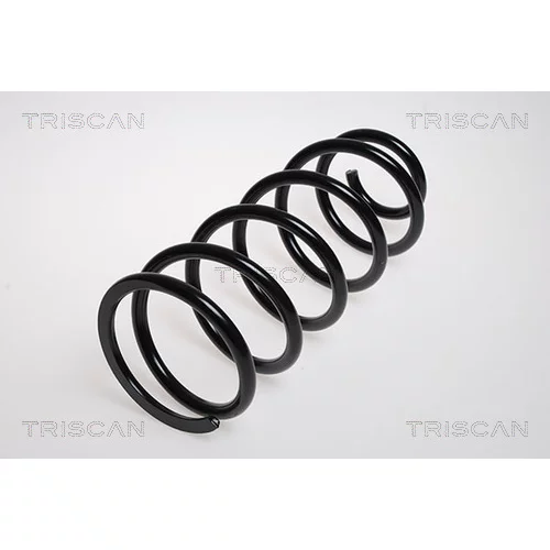 Pružina podvozku TRISCAN 8750 13137