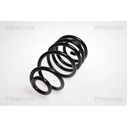 Pružina podvozku TRISCAN 8750 24125