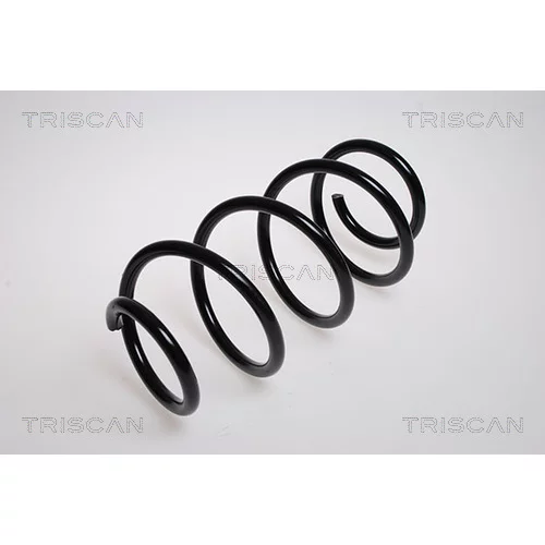 Pružina podvozku TRISCAN 8750 2542